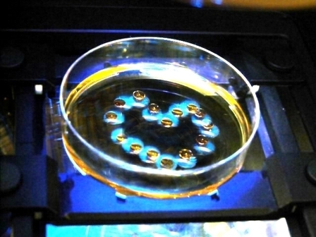 Light-driven microfluidics Light-driven microfluidics