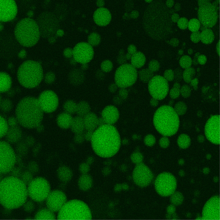 Artificial cell systems Artificial cell systems