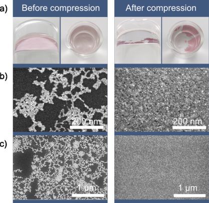 Nanoparticles in a Capillary Trap: Dynamic Self-Assembly at Fluid Interfaces