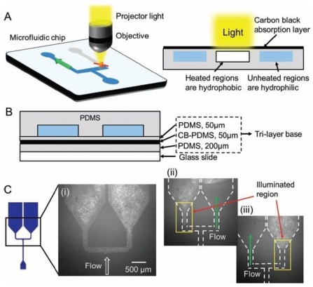 Light-Governed Capillary Flow in Microfluidic Systems