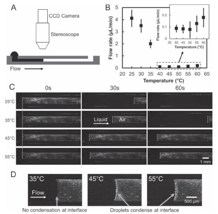 Light-Governed Capillary Flow in Microfluidic Systems