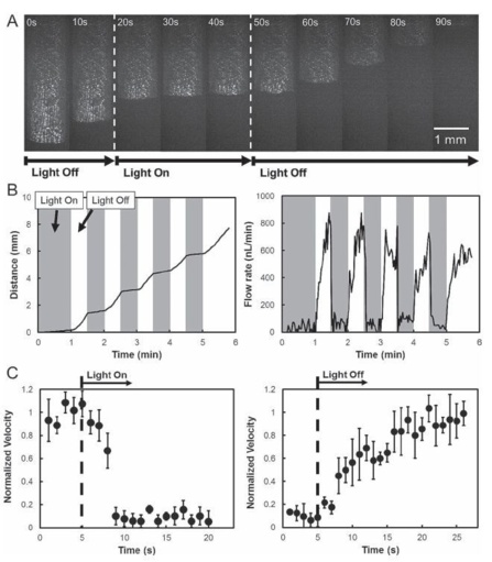 Light-Governed Capillary Flow in Microfluidic Systems Light-Governed Capillary Flow in Microfluidic Systems