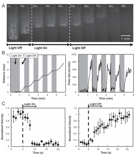 Light-Governed Capillary Flow in Microfluidic Systems