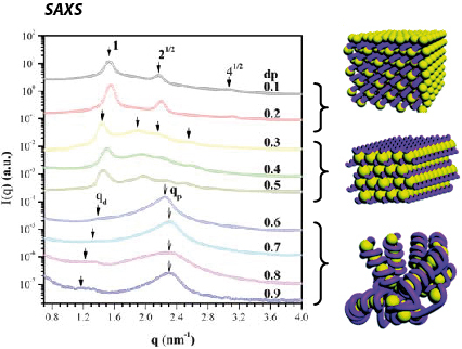 Dendrimer-induced DNA bending