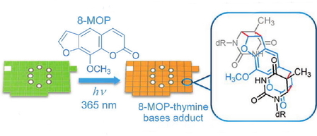 Photo-Cross-Linking-Assisted Thermal Stability of DNA Origami Structures and Its Application for Higher-Temperature Self-Assembly