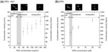 Figure 2: Velocity of compaction of single DNA molecules