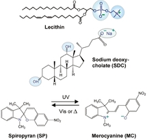 A new photorheological fluid containing a spiropyran compound