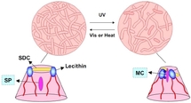 A new photorheological fluid containing a spiropyran compound A new photorheological fluid containing a spiropyran compound