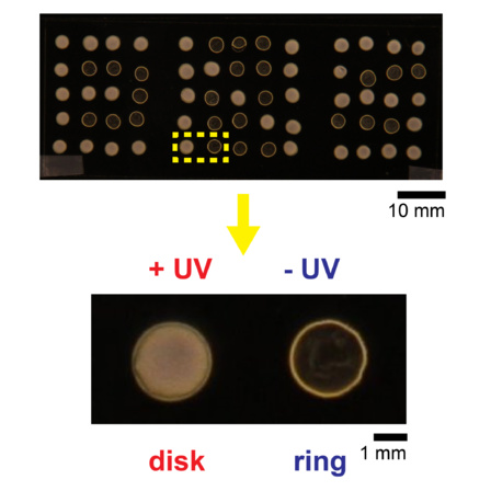 Coffee rings are now photocontrolled and just published in Angewandte!