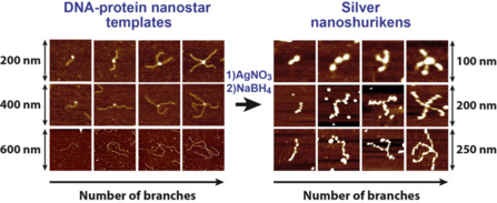 Silver Nanoshurikens just published in Soft Matter!