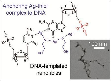 Just-Accepted Paper: Thiol-mediated DNA-templated silver nanofibers Just-Accepted Paper: Thiol-mediated DNA-templated silver nanofibers