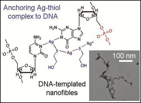 Just-Accepted Paper: Thiol-mediated DNA-templated silver nanofibers