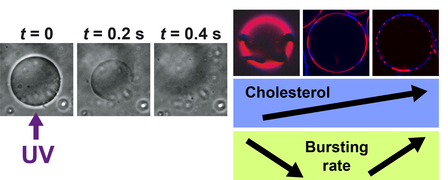 JACS-epted...UV-induced bursting of liposomes paper accepted in JACS!