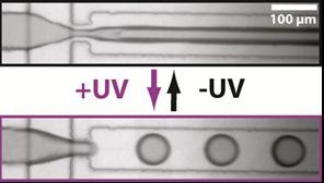 Light for microdrops: Antoine's paper highlighted in CNRS website