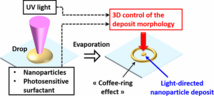 eOMA published in ACS Applied Materials & Interfaces!