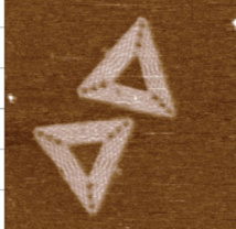 DNA nanotechnology & synthetic biology: a soft twist DNA nanotechnology & synthetic biology: a soft twist