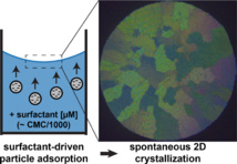 Our new paper 'Adsorption and Crystallization of Particles at the Air–Water Interface Induced by Minute Amounts of Surfactant' has just been accepted for publication in Langmuir!