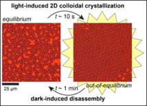 Our new paper "Photoswitchable dissipative two‐dimensional colloidal crystals" accepted for publication in Angewandte!