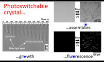 Our new paper "Photoswitchable fluorescent crystals obtained by the photoreversible co-assembly of a nucleobase and an azobenzene intercalator" accepted in JACS! Our new paper "Photoswitchable fluorescent crystals obtained by the photoreversible co-assembly of a nucleobase and an azobenzene intercalator" accepted in JACS!