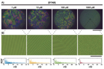 Our new paper "From-bulk crystallization of inorganic nanoparticles at the air/water interface: tunable organization and intense structural colors" published in Nanoscale!