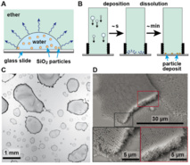 Our new paper "Liquid-liquid coffee-ring effect" accepted in Journal of Colloids and Interface Science! Our new paper "Liquid-liquid coffee-ring effect" accepted in Journal of Colloids and Interface Science!