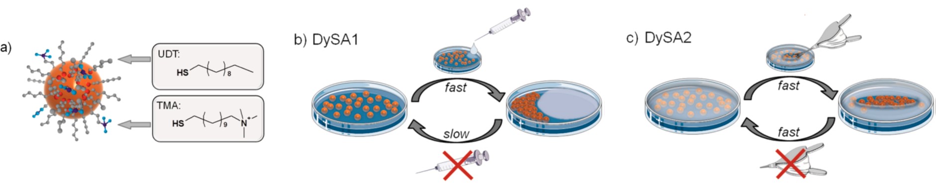 Nanoparticles in a Capillary Trap: Dynamic Self-Assembly at Fluid Interfaces
