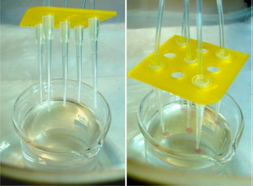 Nanoparticles in a Capillary Trap: Dynamic Self-Assembly at Fluid Interfaces