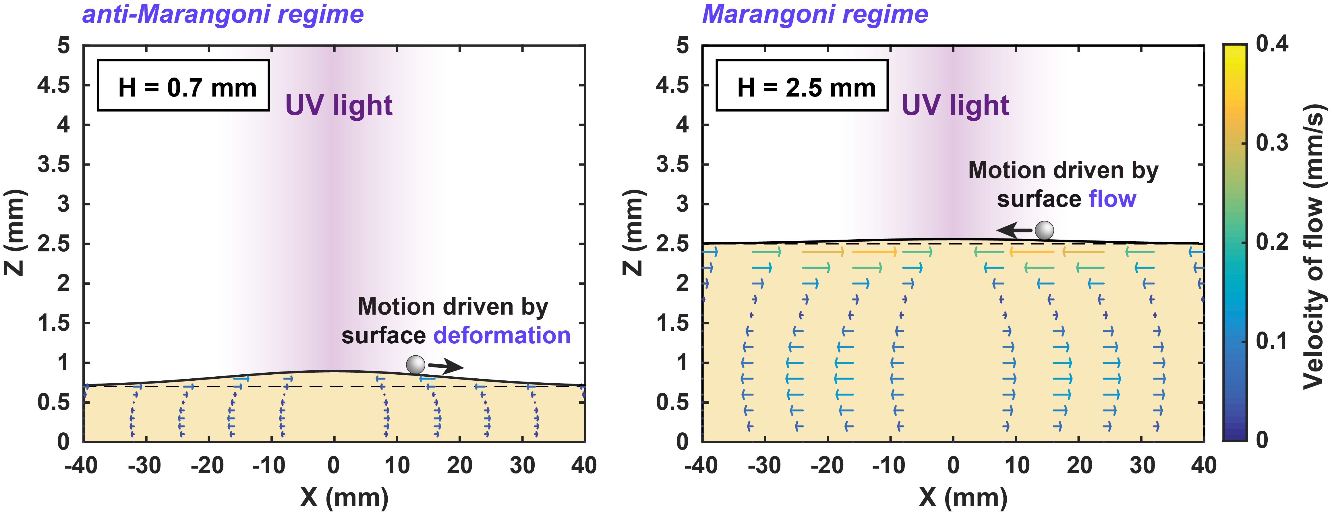Liquid marbles move upstream and hit Angewandte!