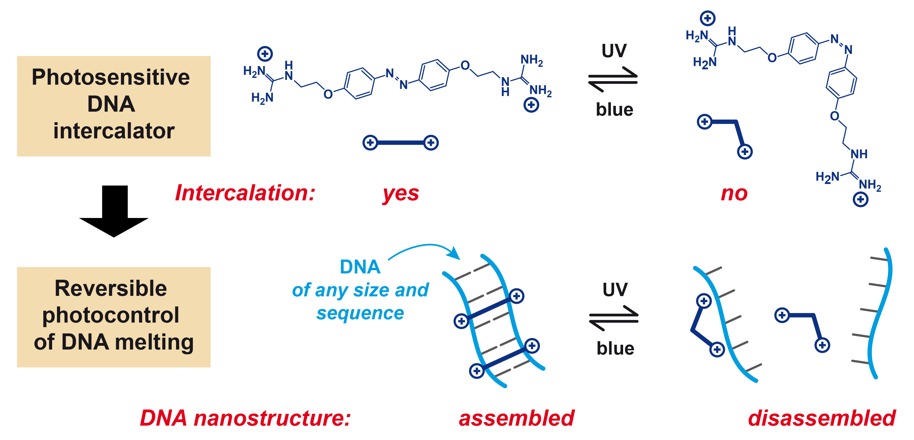 Photocontrol of DNA melting/hybridization at constant temperature accepted in Nano Letters!
