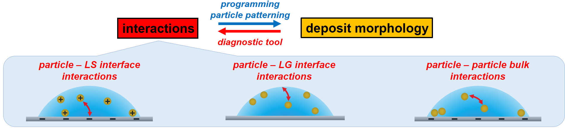 The Coffee-Ring Effect reviewed and accepted in ChemPhysChem!