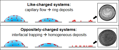 Our general method to control coffee rings with surfactants accepted in Langmuir!