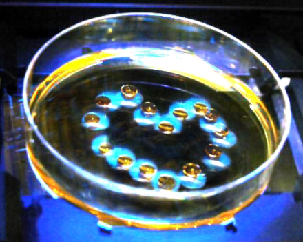 Metafluidics: new fluid actuation principles for better microfluidics