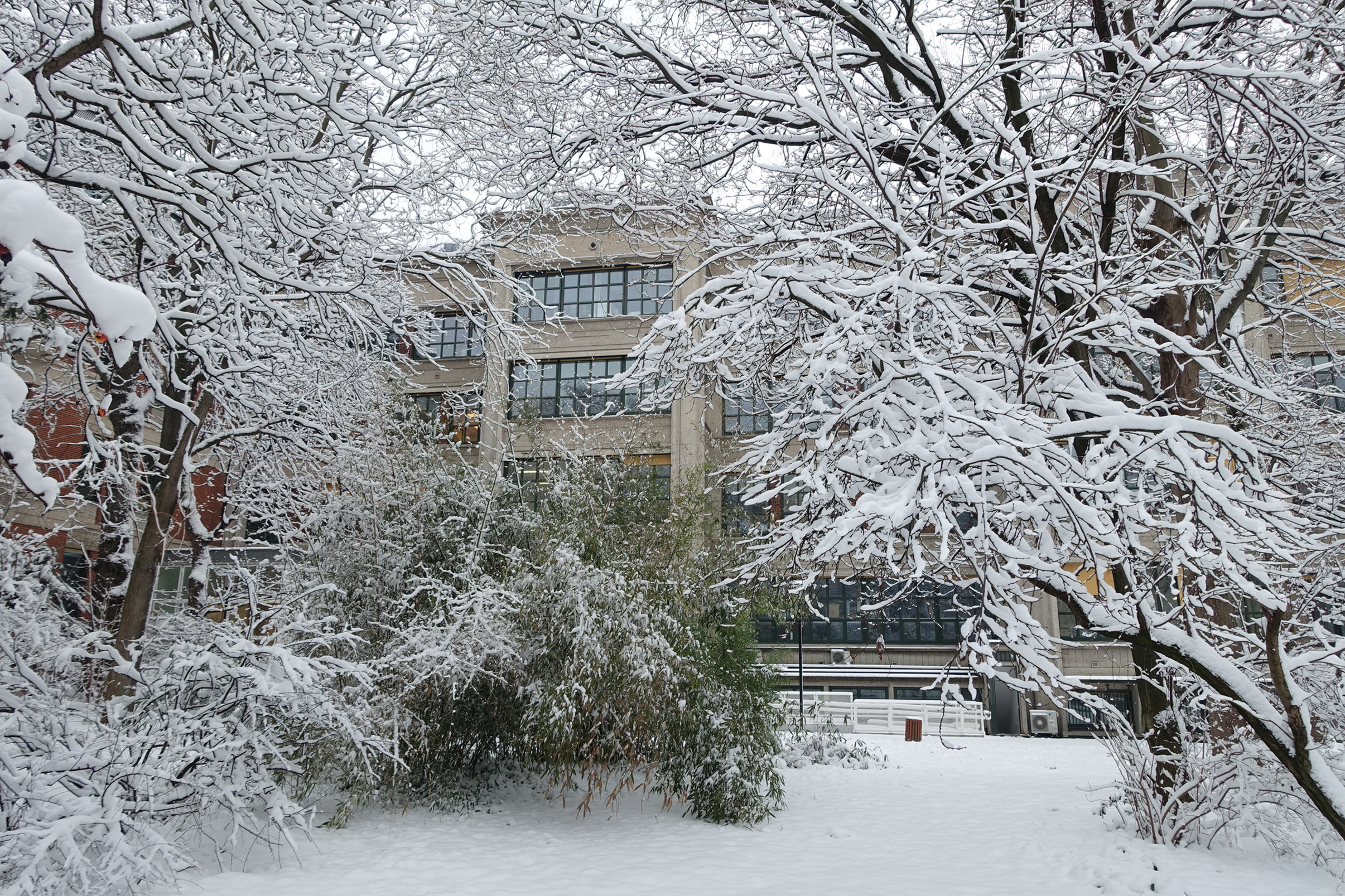 Snow on the lab and a seasonal background