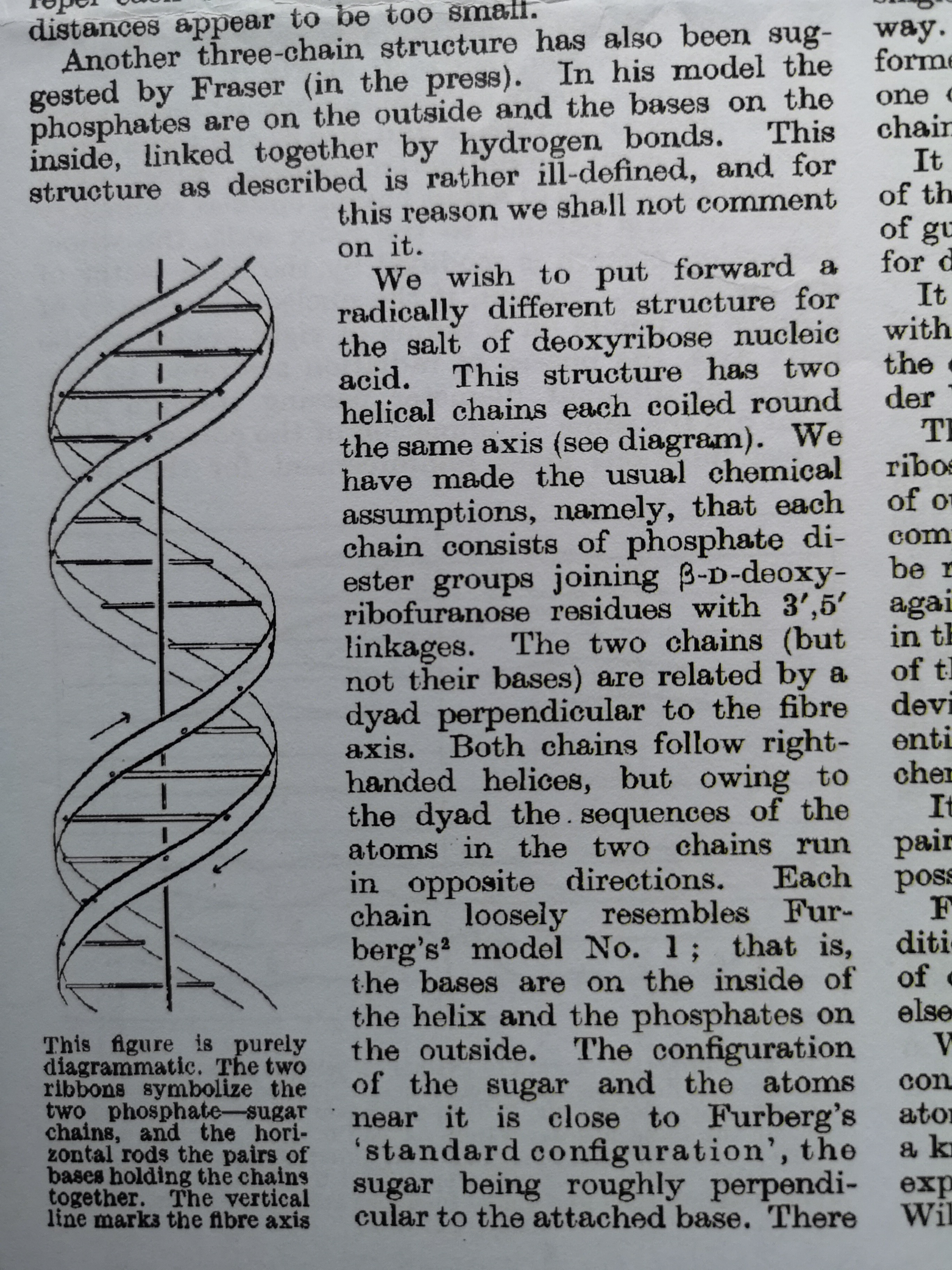 Happy birthDNA!