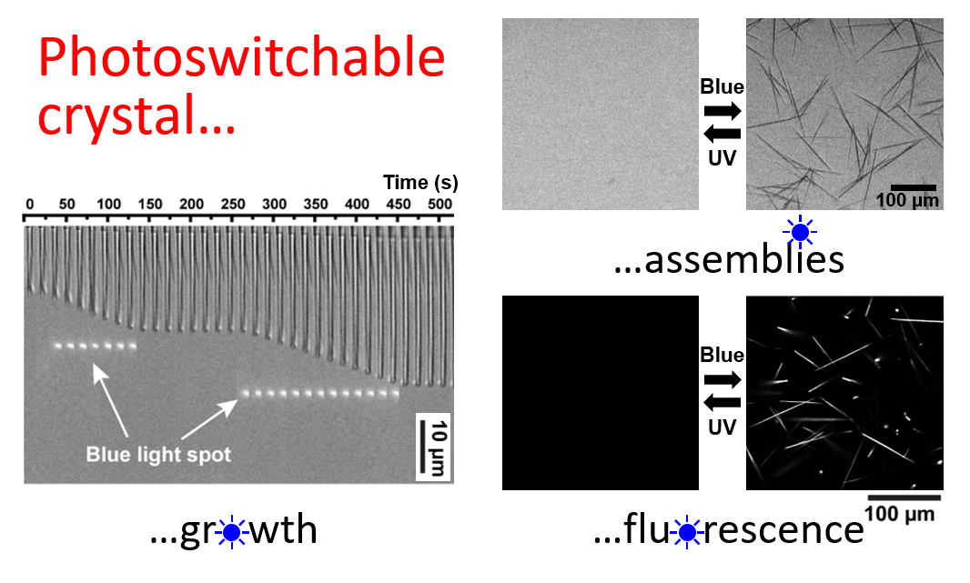 Our new paper "Photoswitchable fluorescent crystals obtained by the photoreversible co-assembly of a nucleobase and an azobenzene intercalator" accepted in JACS!