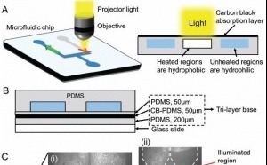 Light-Governed Capillary Flow in Microfluidic Systems