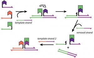 Programmable One-Pot Multistep Organic Synthesis Using DNA Junctions