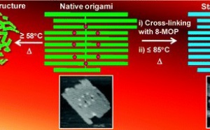 Photo-Cross-Linking-Assisted Thermal Stability of DNA Origami Structures and Its Application for Higher-Temperature Self-Assembly