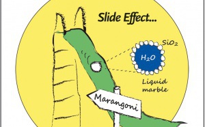 The Slide Effect hits Angewandte Cover! The Slide Effect hits Angewandte Cover!