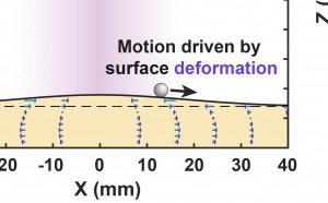 Liquid marbles move upstream and hit Angewandte! Liquid marbles move upstream and hit Angewandte!
