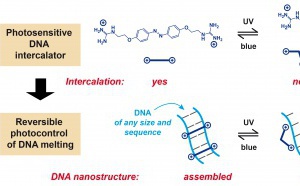 Photocontrol of DNA melting/hybridization at constant temperature accepted in Nano Letters! Photocontrol of DNA melting/hybridization at constant temperature accepted in Nano Letters!