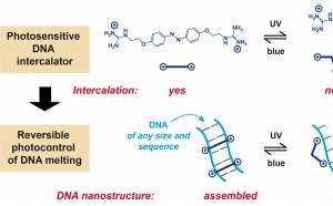Photocontrol of DNA melting/hybridization at constant temperature accepted in Nano Letters!