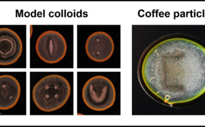 Coffee (Nano)Letters!