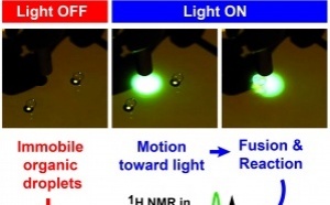 First LED-based digital optofluidics for organic synthesis accepted in Langmuir!