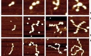 Silver Nanoshurikens just published in Soft Matter!