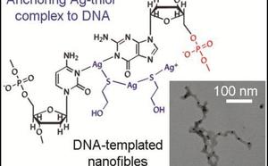 Just-Accepted Paper: Thiol-mediated DNA-templated silver nanofibers