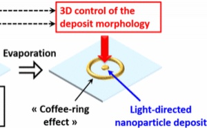 eOMA published in ACS Applied Materials &amp; Interfaces!