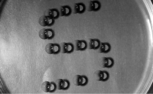 Our new paramagnetofluidic method published as VIP in Angewandte! Our new paramagnetofluidic method published as VIP in Angewandte!