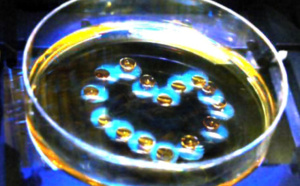 Metafluidics: new fluid actuation principles for better microfluidics