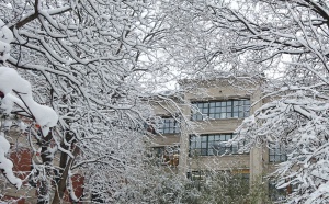 Snow on the lab and a seasonal background
